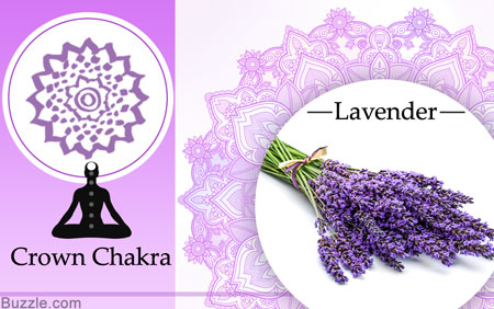 Crown chakra and lavender