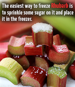 Easiest method to freeze Rhubarb