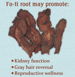 Health benefits of Fo-ti root