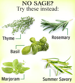Substitutes for sage herb
