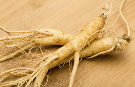 Panax Ginseng