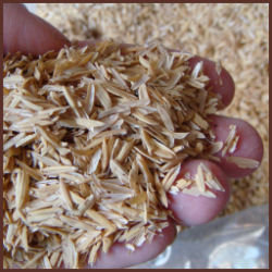 handful of pale chaff-like rice hulls