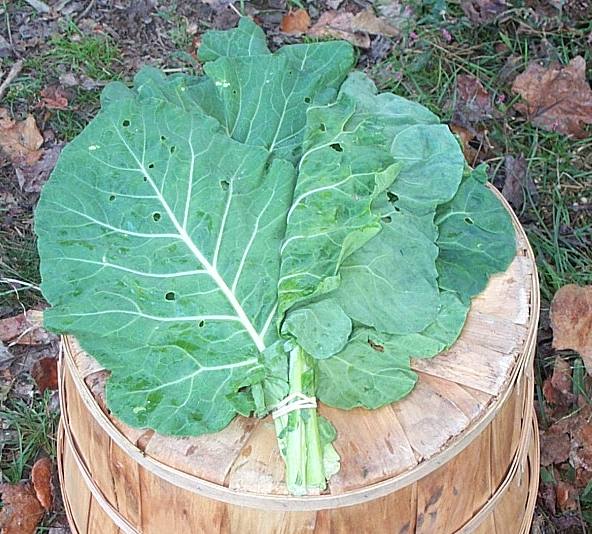 a bunch of collard greens, another superfood