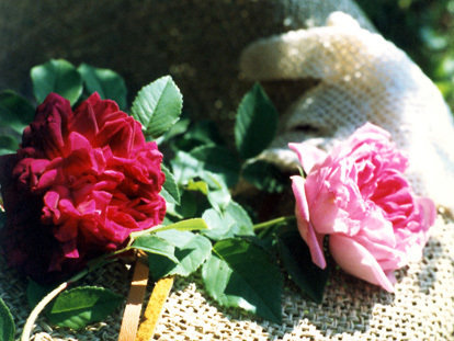 old roses with straw hat and lace glove