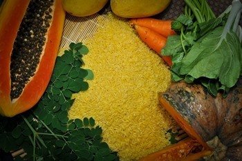 golden rice with other foods naturally containing beta-carotene