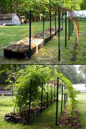 arched trellis of repurposed concrete re-mesh wire