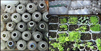 Jugs and bottles for winter sowing containers