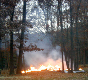 leaf burning