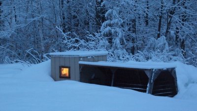 chicken coop in snow