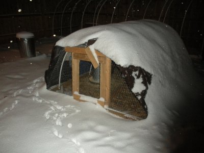 chicken coop in snow