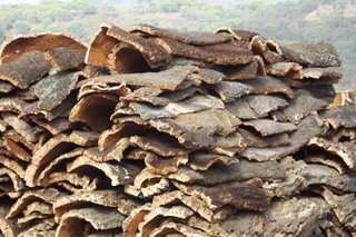 cork pile