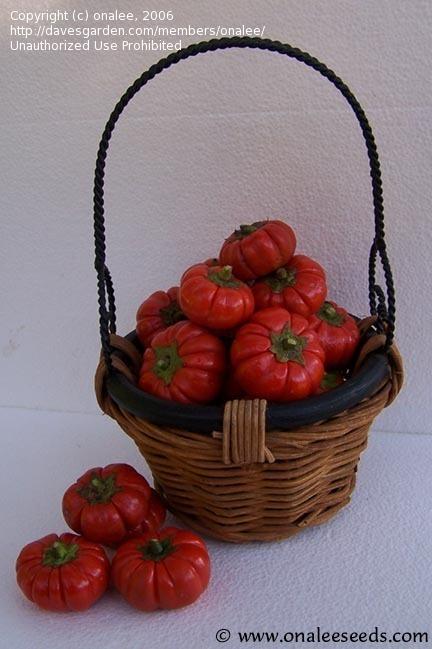 basket of pumpkin on a stick