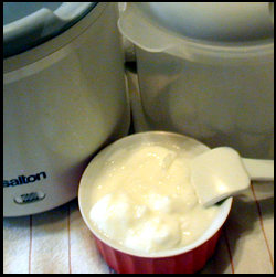 Yogurt making at home