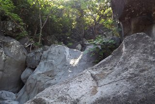 ravine