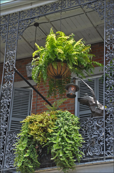 Iron Balcony, The French Quarter, NOLA