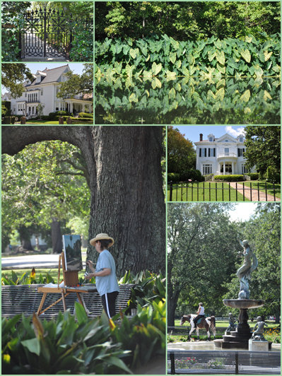 Audubon Park & Garden District homes, New Orleans