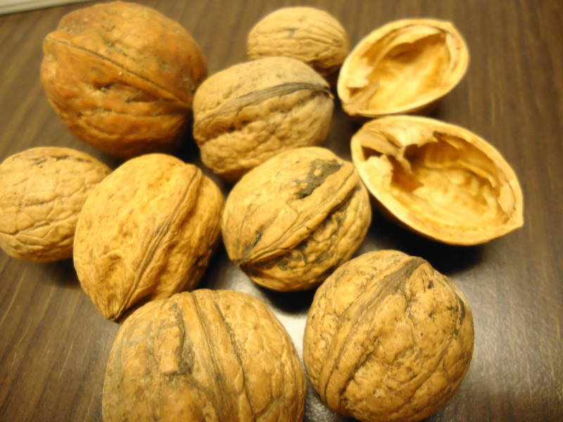 Walnuts in shell