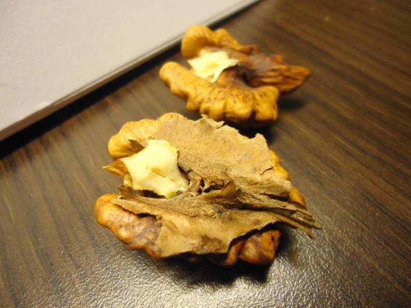 Walnut kernel split in halves with the hard partition on one half