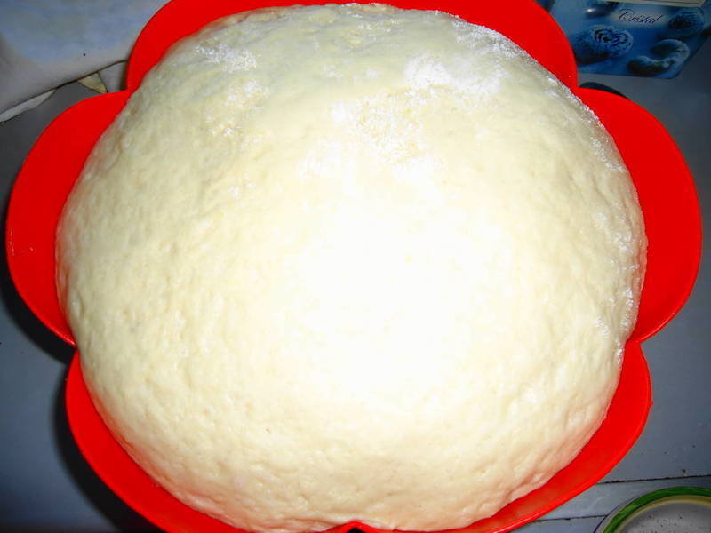 Rising dough 