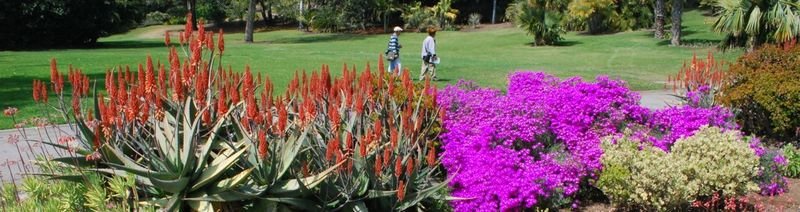 Huntington flowering scene