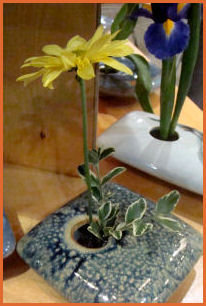 tall yellow daisy and low double branch with variegated foliage in square dish