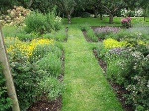 Herb garden with grass paths