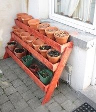 Spice Rack pot arrangement