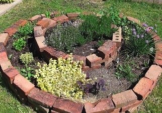 Herb Spiral with brick edging