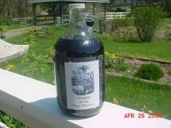 Bottle of 4 Thieves vinegar
