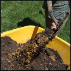shows shovel mixing clay soil and dark compost in wheelbarrow