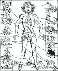 Zodiacal Man