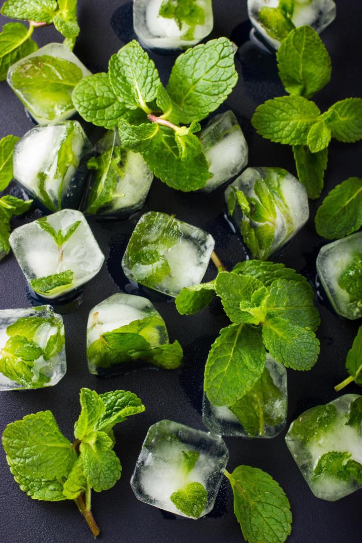 mint_ice_cubes_full_width.jpg