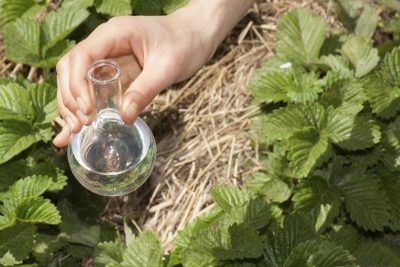 flask with clear water or fertilizer,  liquid in glassware