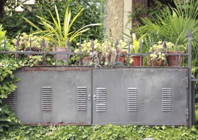 Plants and pots on an eletrical box outside