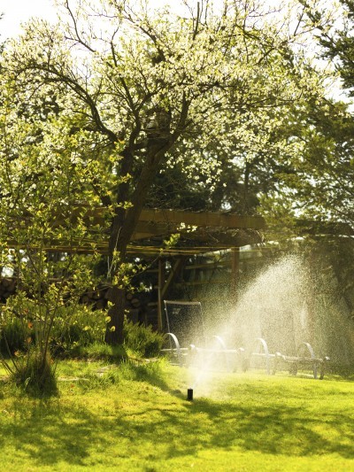 Gardening. Lawn sprinkler spraying water over green grass. Irrigation system - technique of watering in the garden.