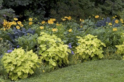 Garden in Bordeaux, France