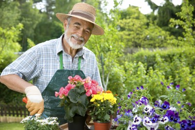 gardener