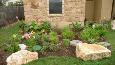 plants-in-garden