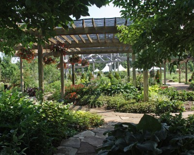 shade-garden