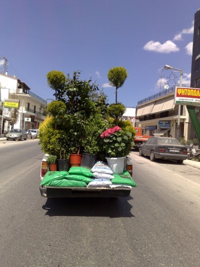 transporting-plants