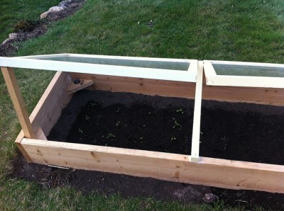 cold-frame