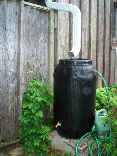 rain-barrel