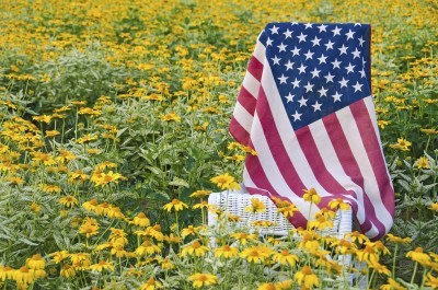 american flag and flowers