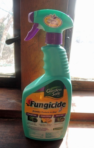 fungicide