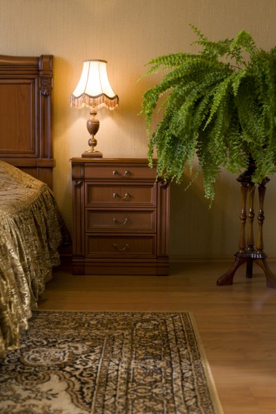 Classical interior of a bedroom. Fern.