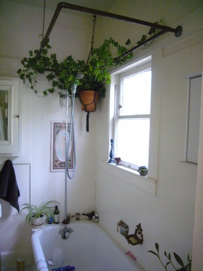 bathroom-plant