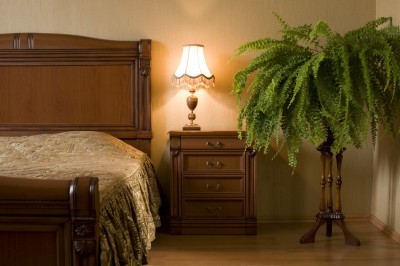 Classical interior of a bedroom. Natural fern.