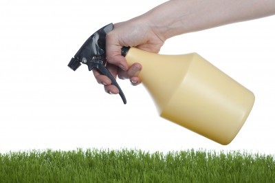 homemade lawn fertilizer