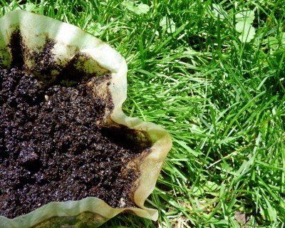 coffee grounds on lawn