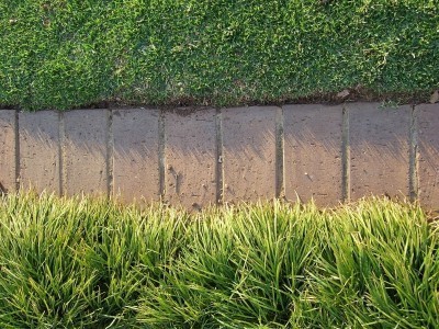 lawn edging